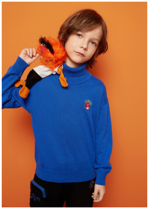 Saanvi Pullover Sweater