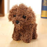 Tedonono Plush Toy