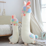 Alpacanono Plush Toy