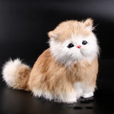 Catonono Plush Toy