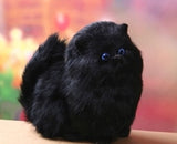 Catonono Plush Toy