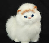 Catonono Plush Toy