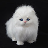 Catonono Plush Toy